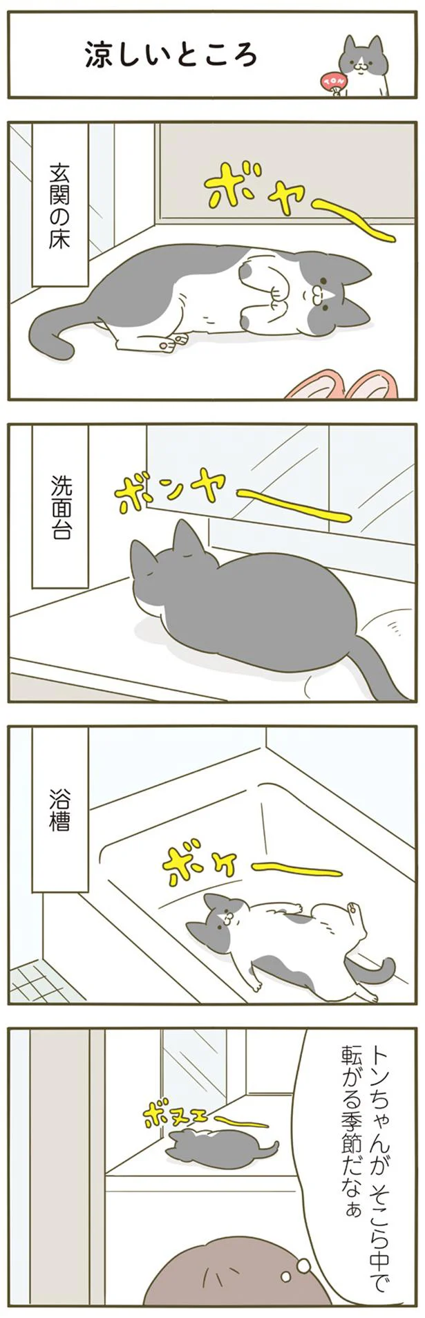 トンちゃんページ トンちゃんがそこら中で転がる季節／うちの猫がまた変なことしてる。4