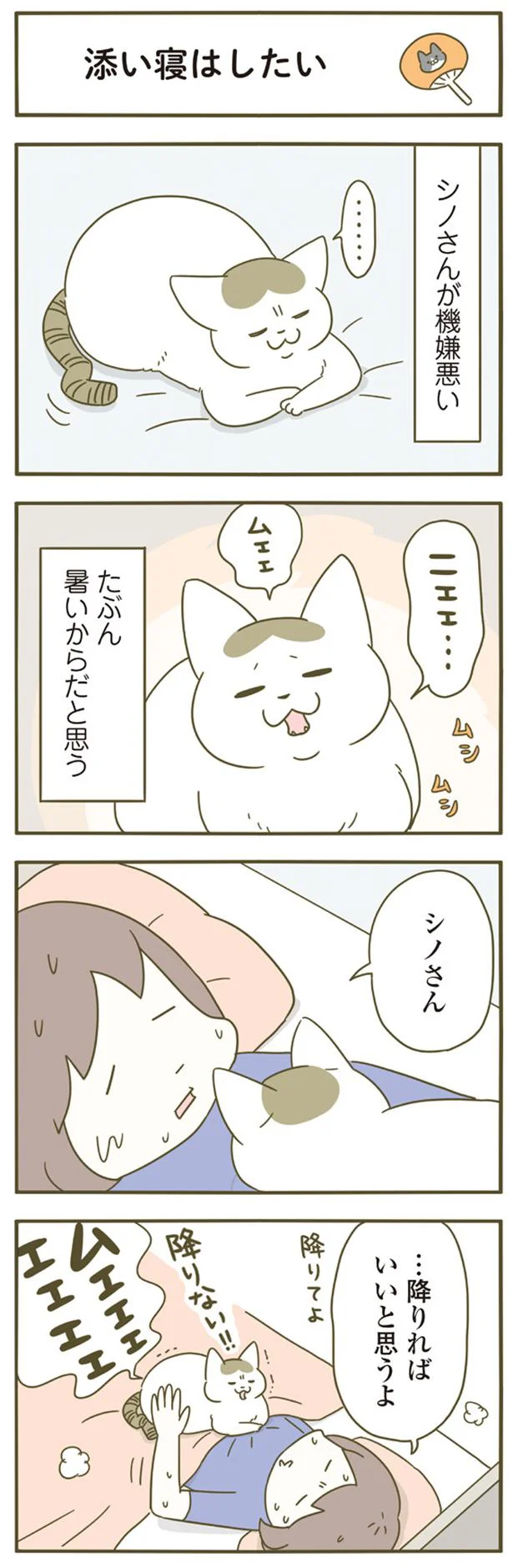 トンちゃんがそこら中で転がる季節／うちの猫がまた変なことしてる。4