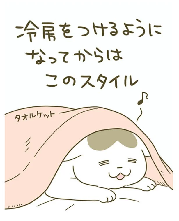 トンちゃんがそこら中で転がる季節／うちの猫がまた変なことしてる。4
