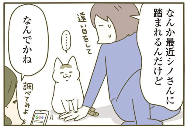 なんだか最近シノさんに踏まれるんですが うちの猫がまた変なことしてる 4 5 レタスクラブ なんだか最近シノさんに踏まれるんですが うちの猫がまた変なことしてる 4 5 レタスクラブ