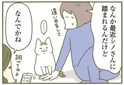 最近よく踏まれるけどなんでだろ…？