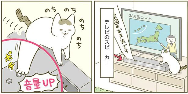 音量ボタン踏んでる!足どけて!