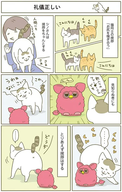 【画像を見る】礼儀正しい