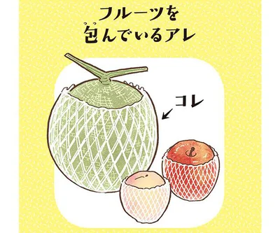 白いアミアミ メロンを包んでいるクッションの名前は モノのなまえ事典 2 画像1 4 レタスクラブ