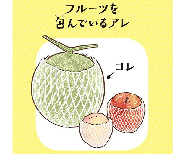 白いアミアミ メロンを包んでいるクッションの名前は モノのなまえ事典 2 画像1 4 レタスクラブ