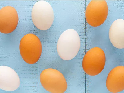 38.卵の白玉と赤玉、栄養価は同じ？