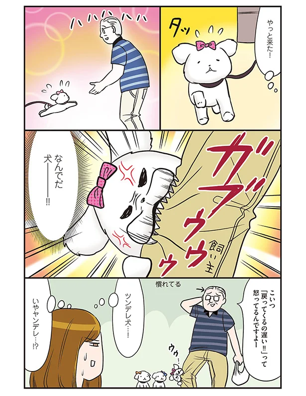 なんでだ犬ー!!