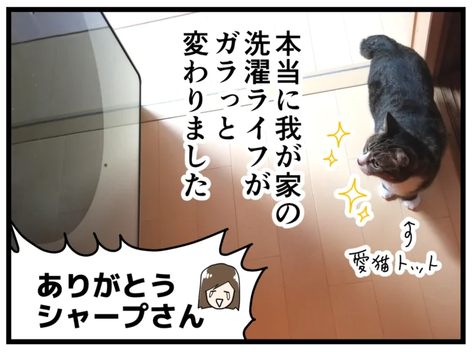我が家の洗濯ライフがガラっと変わりました