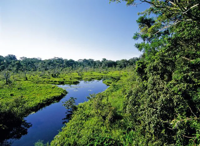 アマゾン川の地下に別の大河が流れているってホント!?／誰かに話したくなる地球の雑学