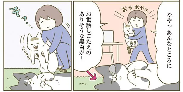 ややっあんなところに！