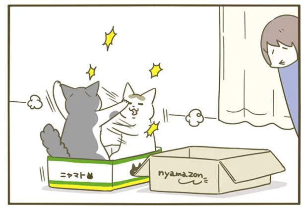 激しい戦い…ダンボールでこんなに熱くなることある？／うちの猫がまた変なことしてる。5（2）