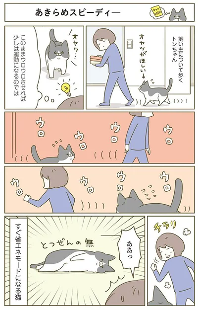 【画像を見る】あきらめスピーディー