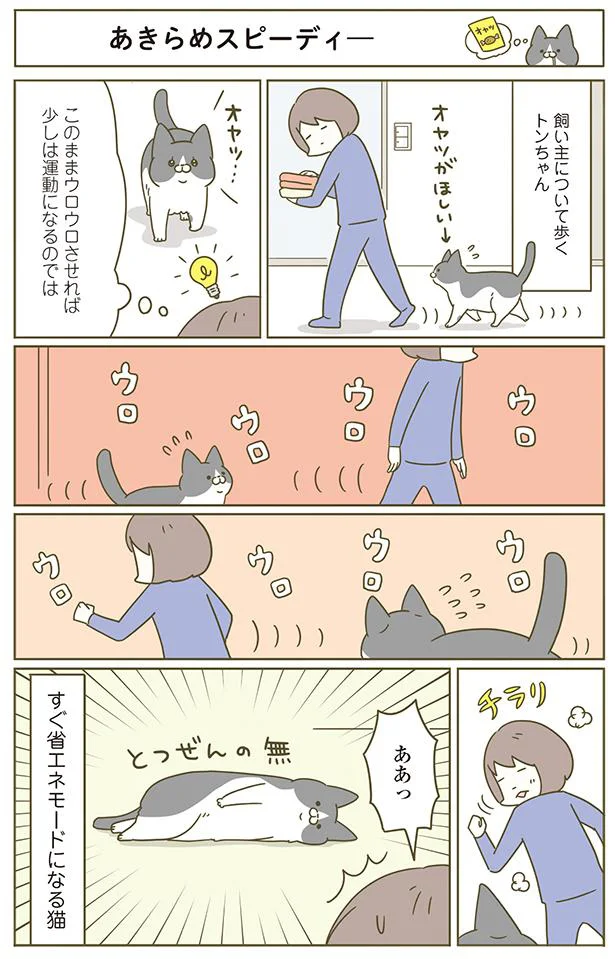 【画像を見る】あきらめスピーディー