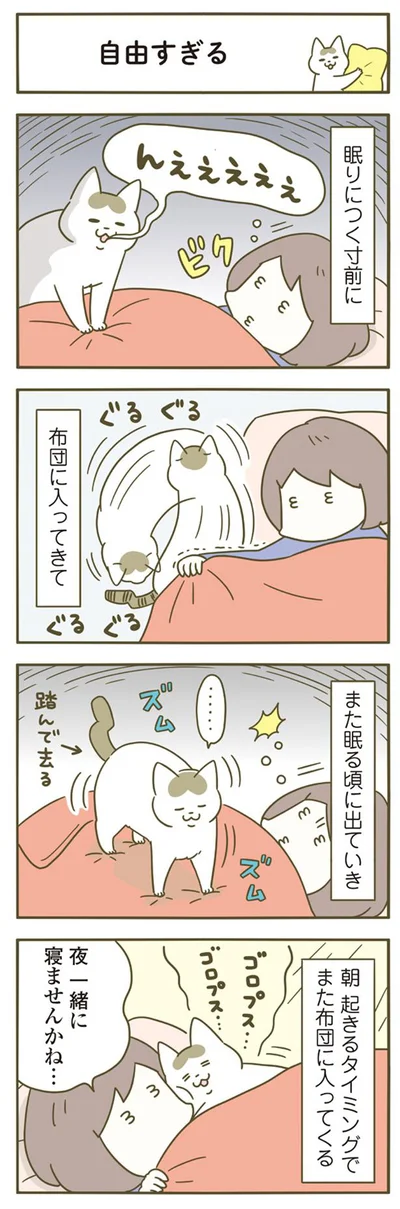 自由すぎる