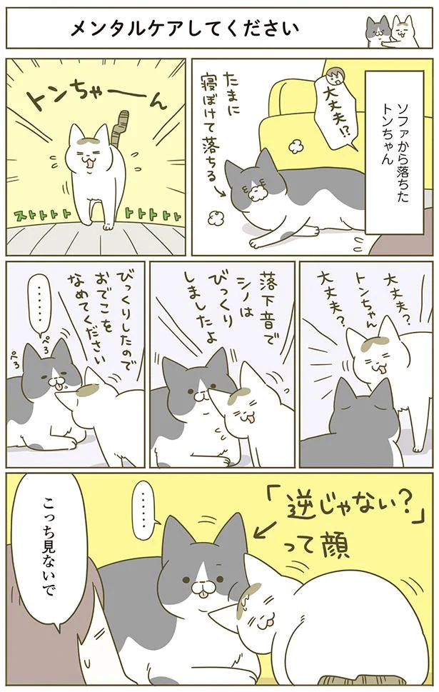 メンタルケアしてください