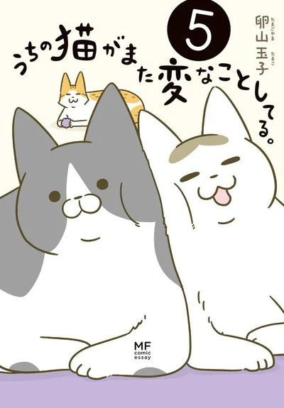 猫たちは今日もモフモフ&フリーダム！『うちの猫がまた変なことしてる。5』