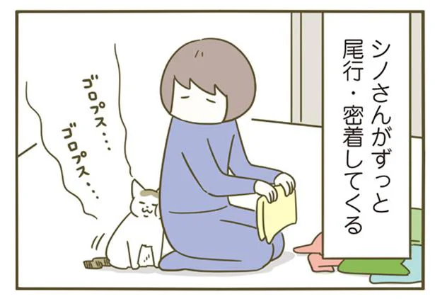 しばらく離れていたらくっつき虫が強化される!