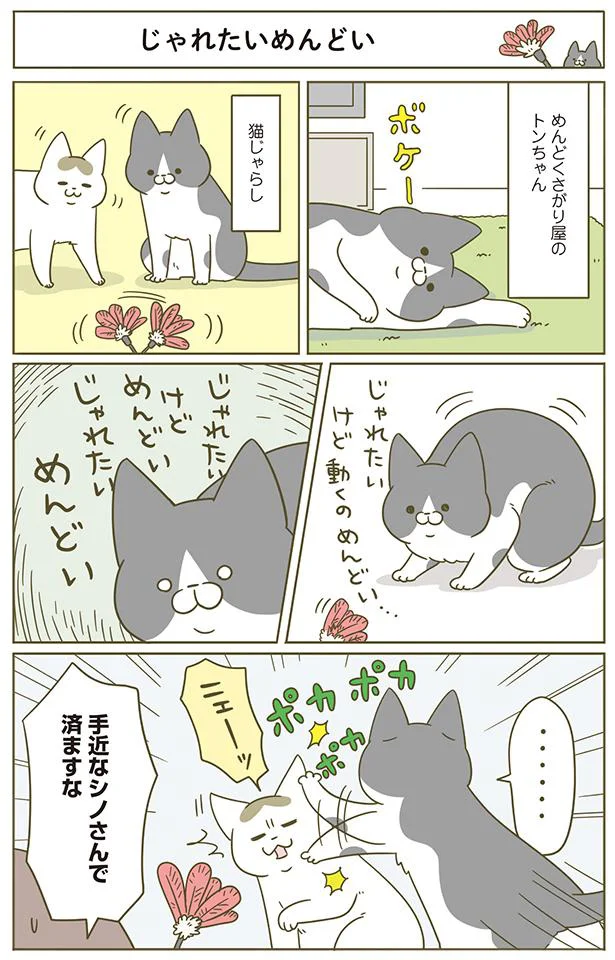 じゃれたいめんどい