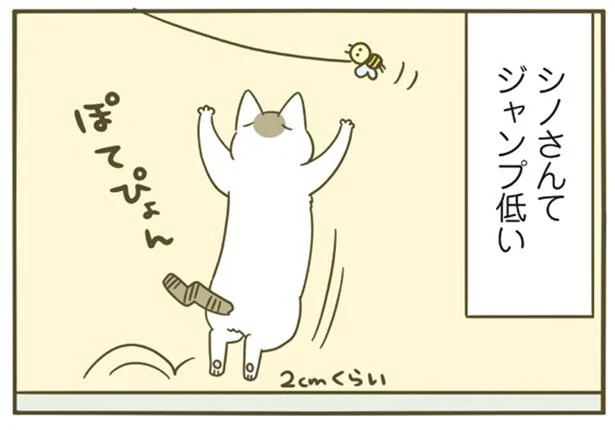 気付いたけどジャンプ力低い…?