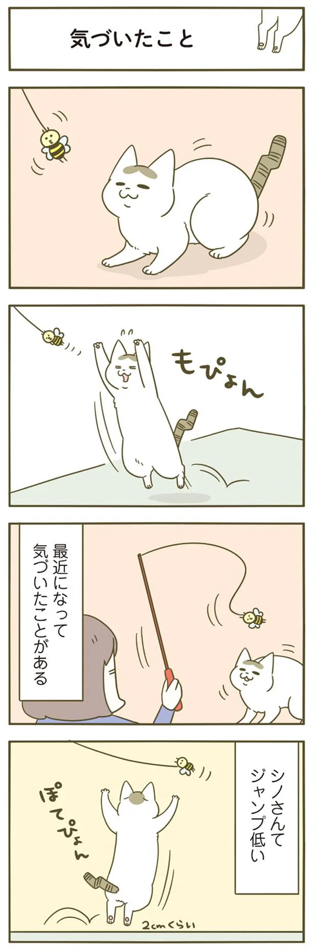 【画像を見る】最近になって気づいたこと