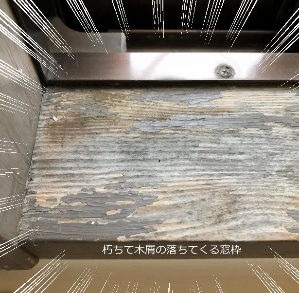 【画像を見る】台風の日に窓を開けたまま不在に…その結果がコレ