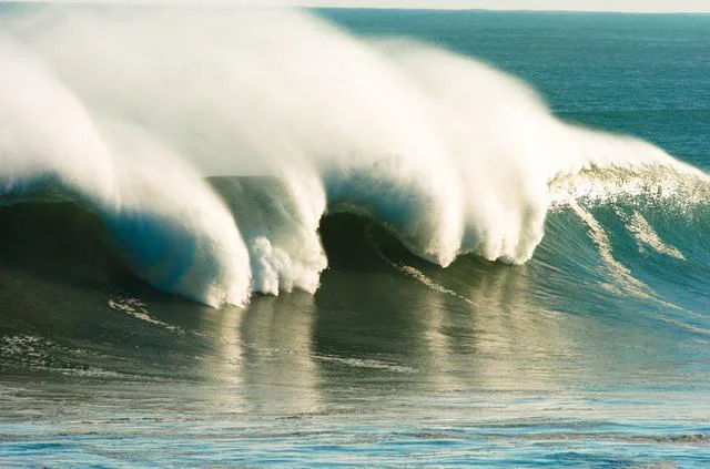 わずか数十センチの津波でも油断は禁物 誰かに話したくなる地球の雑学 レタスクラブ