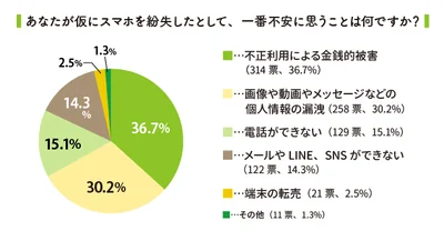 アンケート「あなたが仮にスマホを紛失したとして、一番不安に思うことは何ですか？」