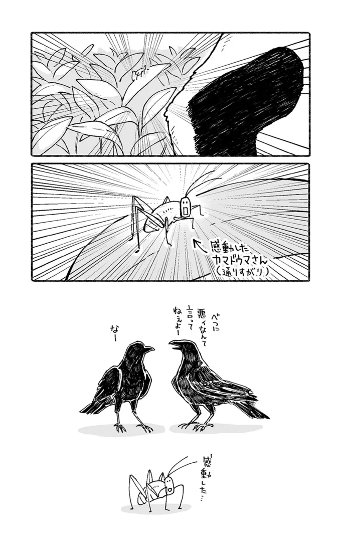 感動したカマドウマさん