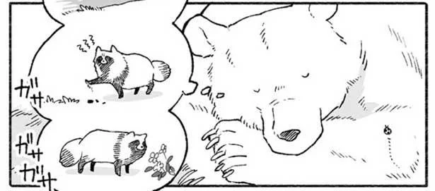 遠くにいても、においや音でクマには分かる！たぬきの行動／クマとたぬき（12）