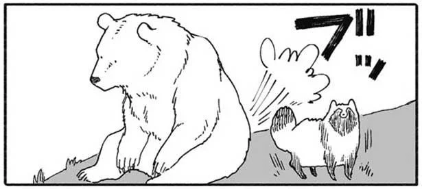 びっくりすると気絶してしまうタヌキ。クマの大きなおならにも…／クマとたぬき（14）