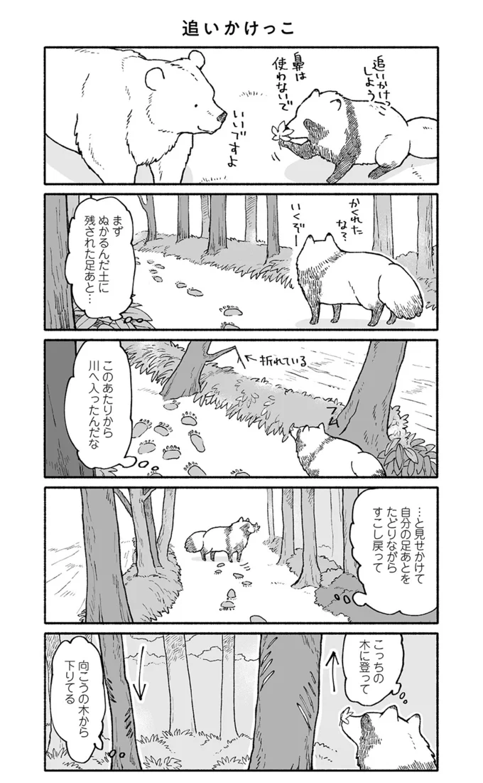 クマとたぬきの追いかけっこ