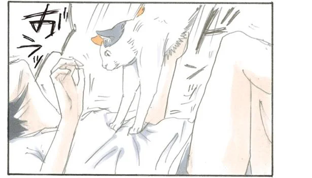 油断してはならない…!