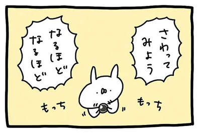 タピオカを研究！まずはさわってみよう