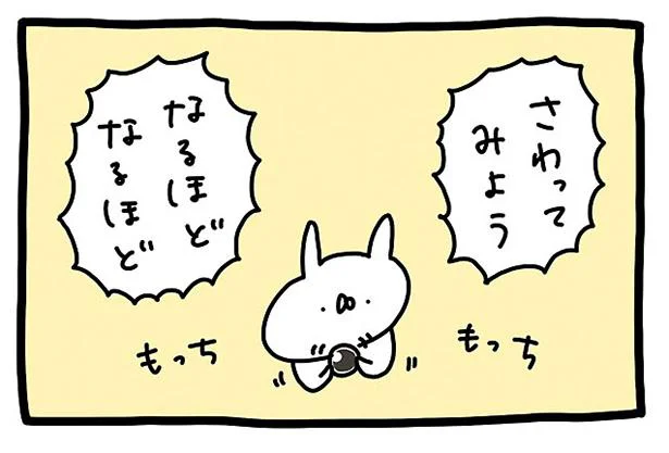 タピオカを研究！まずはさわってみよう