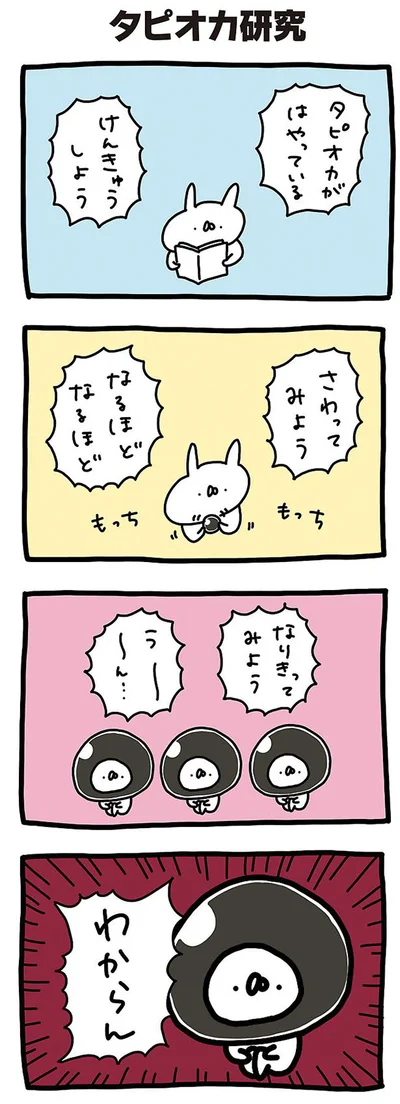 【画像を見る】タピオカ研究