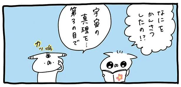 観察日記をつけてみました／うさぎ帝国 ～ステキな日常～（5）