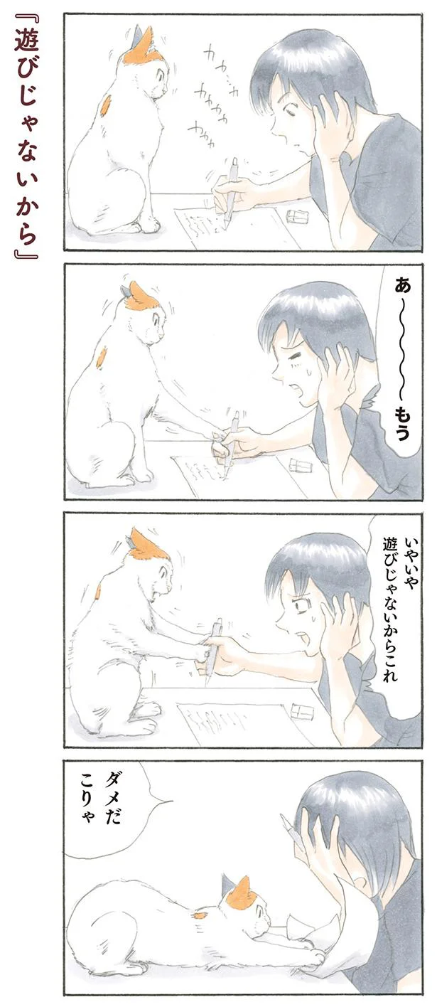 【画像を見る】ダメだこりゃ