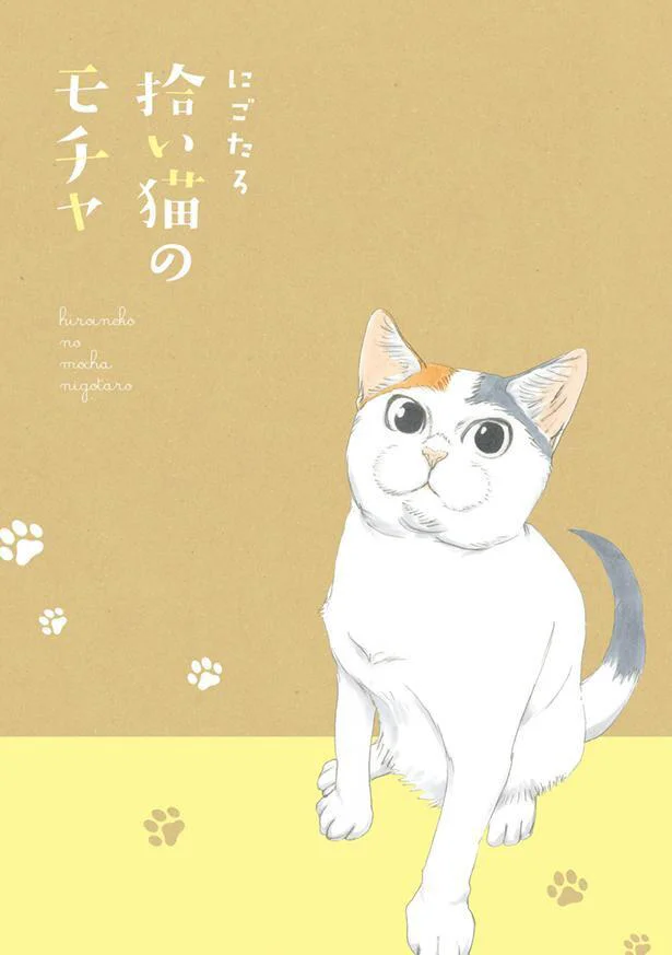 モチャが引きおこす事件に爆笑!あるあるがつまった猫マンガ『拾い猫のモチャ』