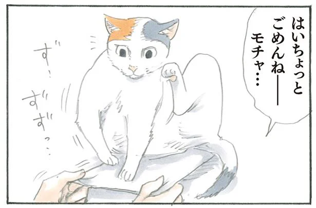 なぜ阻止!? クリアファイルが取りたいだけなんだけど…／拾い猫のモチャ（4）