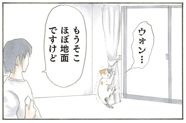 もうそこほぼ地面です 高さにビビりすぎる猫 拾い猫のモチャ 5 レタスクラブ もうそこほぼ地面です 高さにビビりすぎる猫 拾い猫のモチャ 5 レタスクラブ