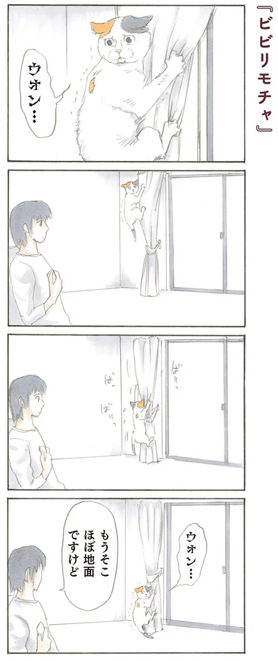 【画像を見る】もうそこほぼ地面ですけど？