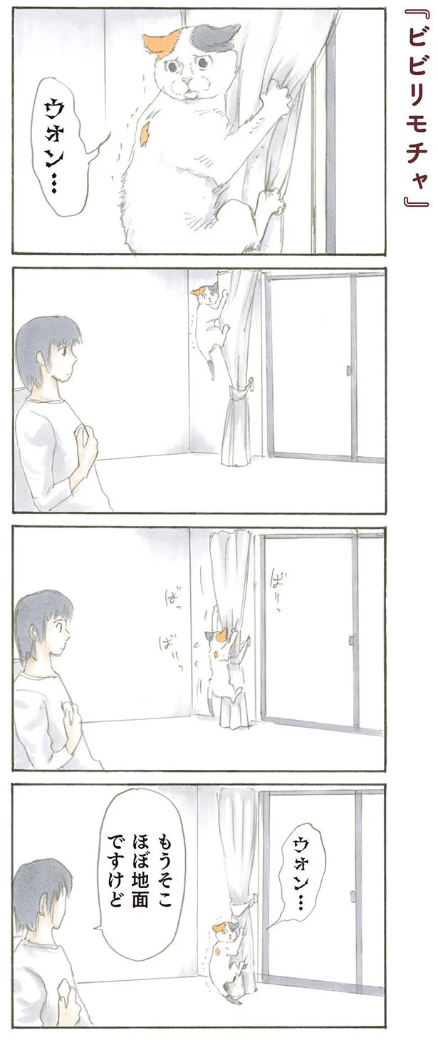 【画像を見る】もうそこほぼ地面ですけど？