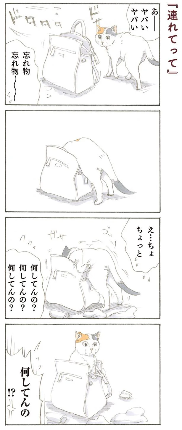 何してんの!?