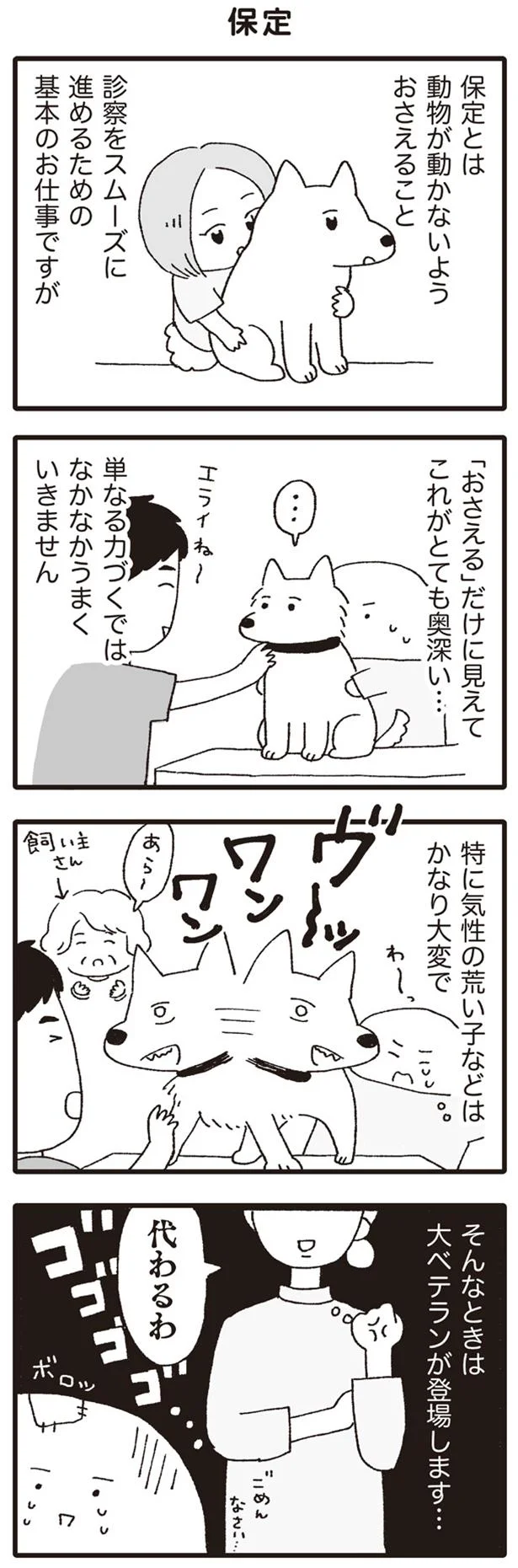 【画像を見る】保定とは