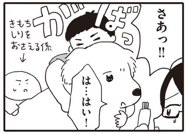 嫌がる大型犬の耳掃除は大変!