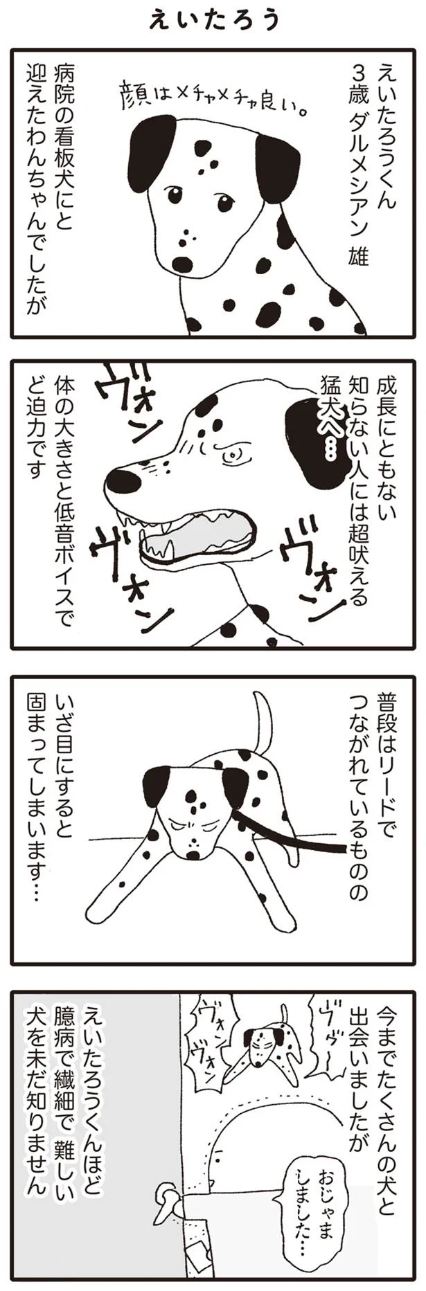 今までたくさんの犬と出会いましたが