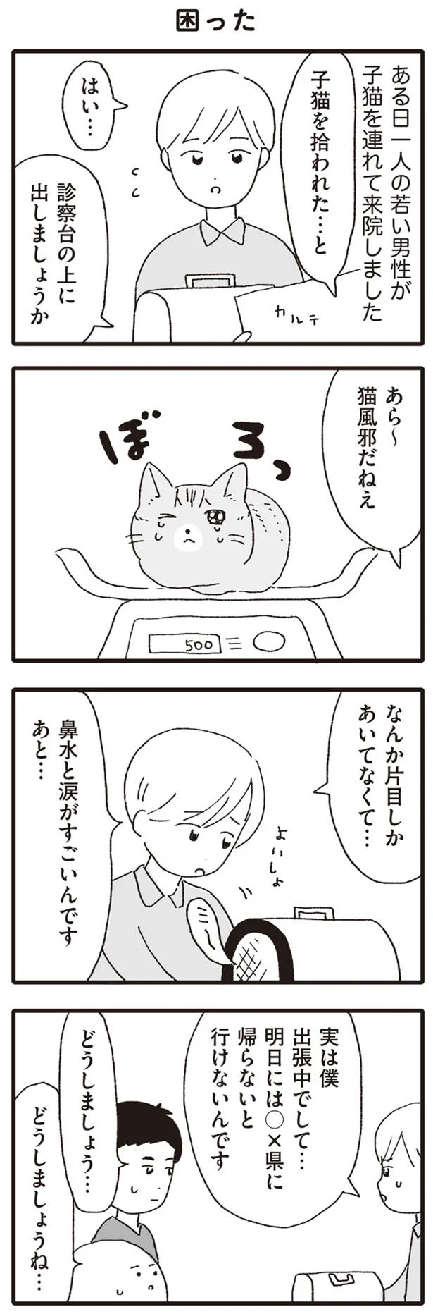 出張中の男性が子猫を連れて来院 一旦預かることになったけれど いぬねこ動物病院日記 7 レタスクラブ 出張中の男性が子猫を連れて来院 一旦預かることになったけれど いぬねこ動物病院日記 7 レタスクラブ