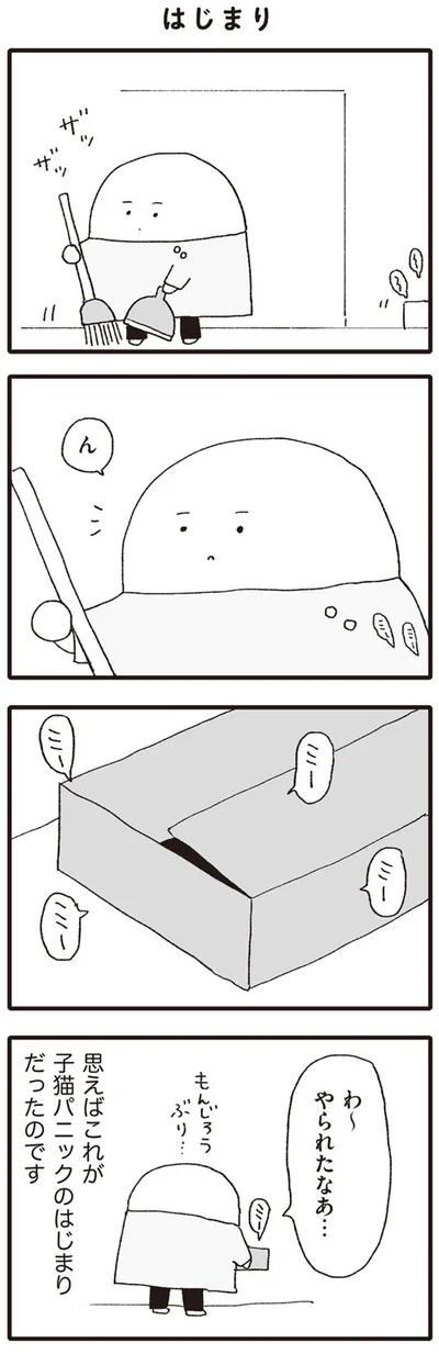 【画像を見る】はじまり