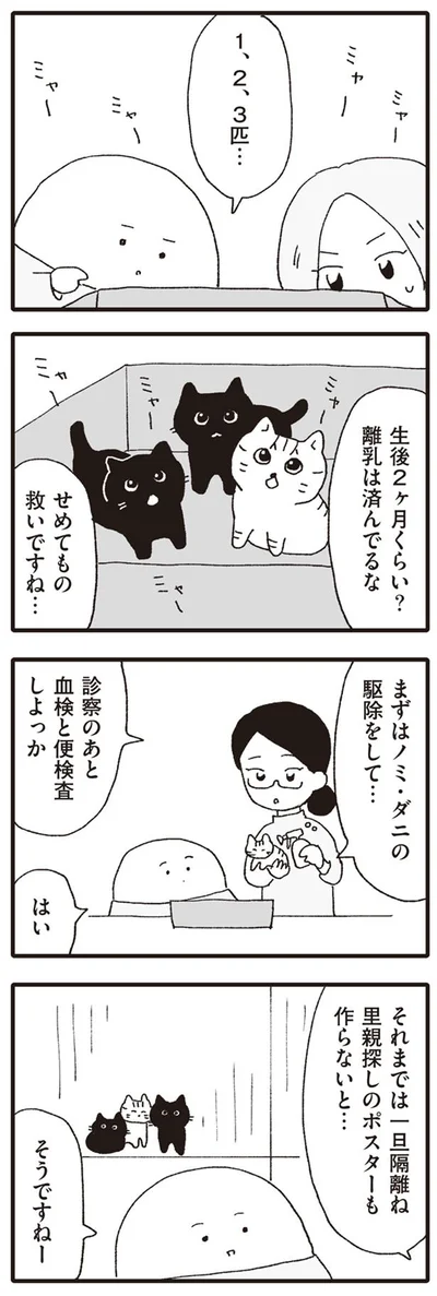 せめてもの救いですね…