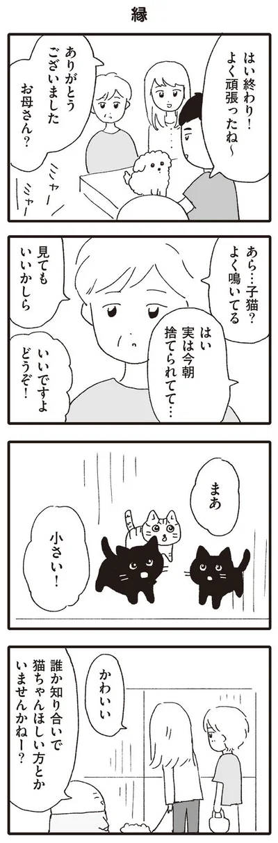 猫ちゃんほしい方とかいませんかねー？